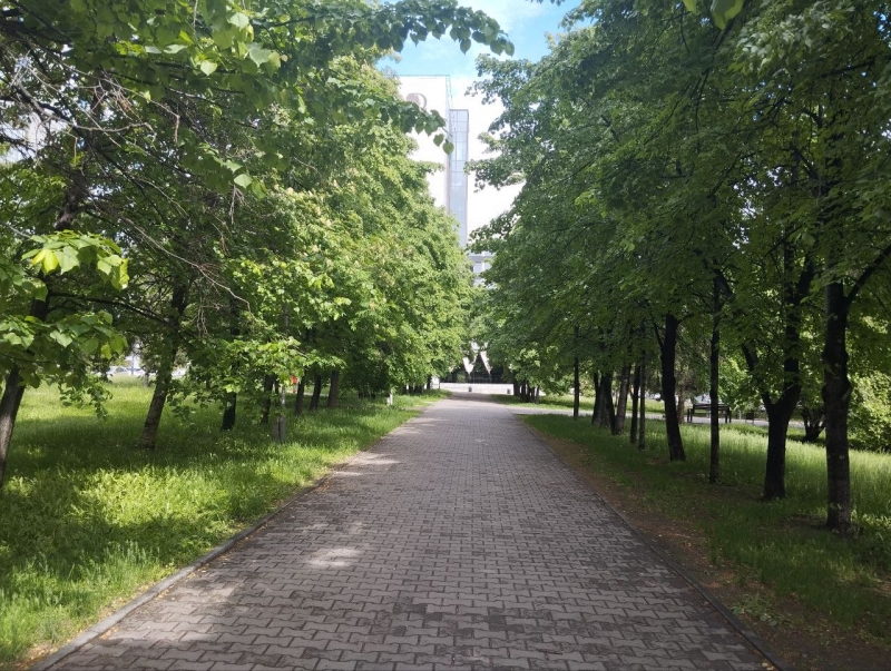 Погода